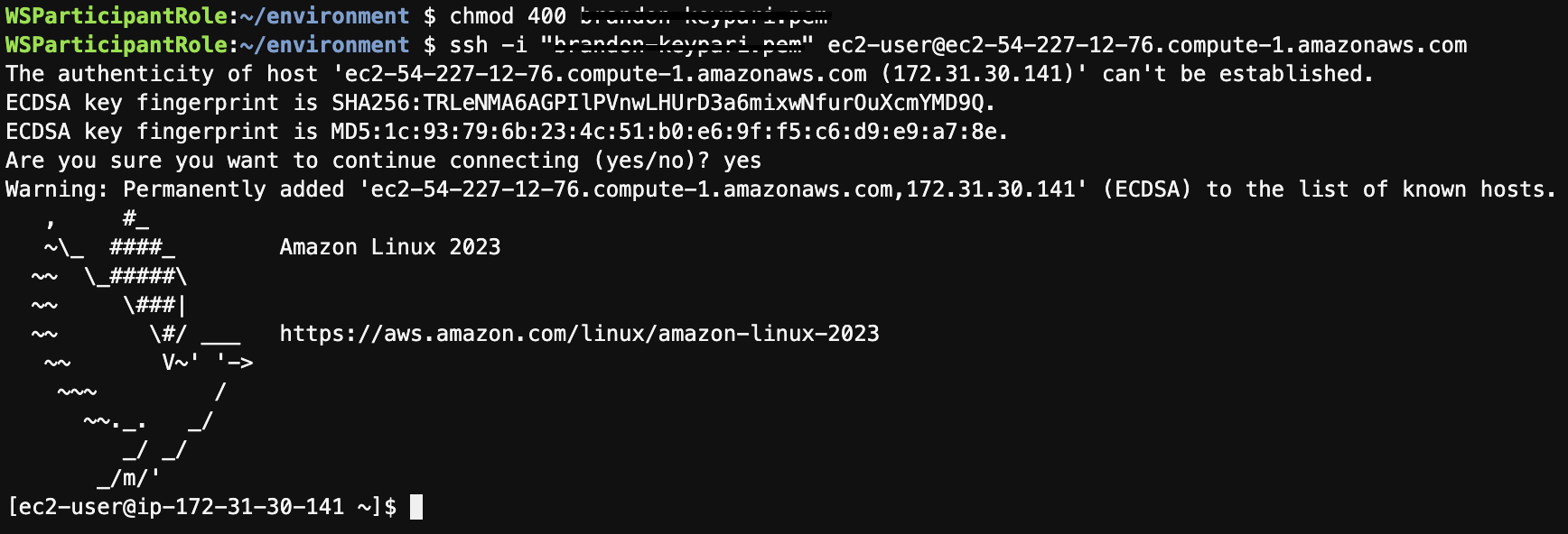 Screenshot 2023-10-18 at 2.11.44 PM.png