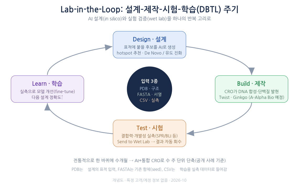 Lab-in-the-Loop(DBTL) 주기