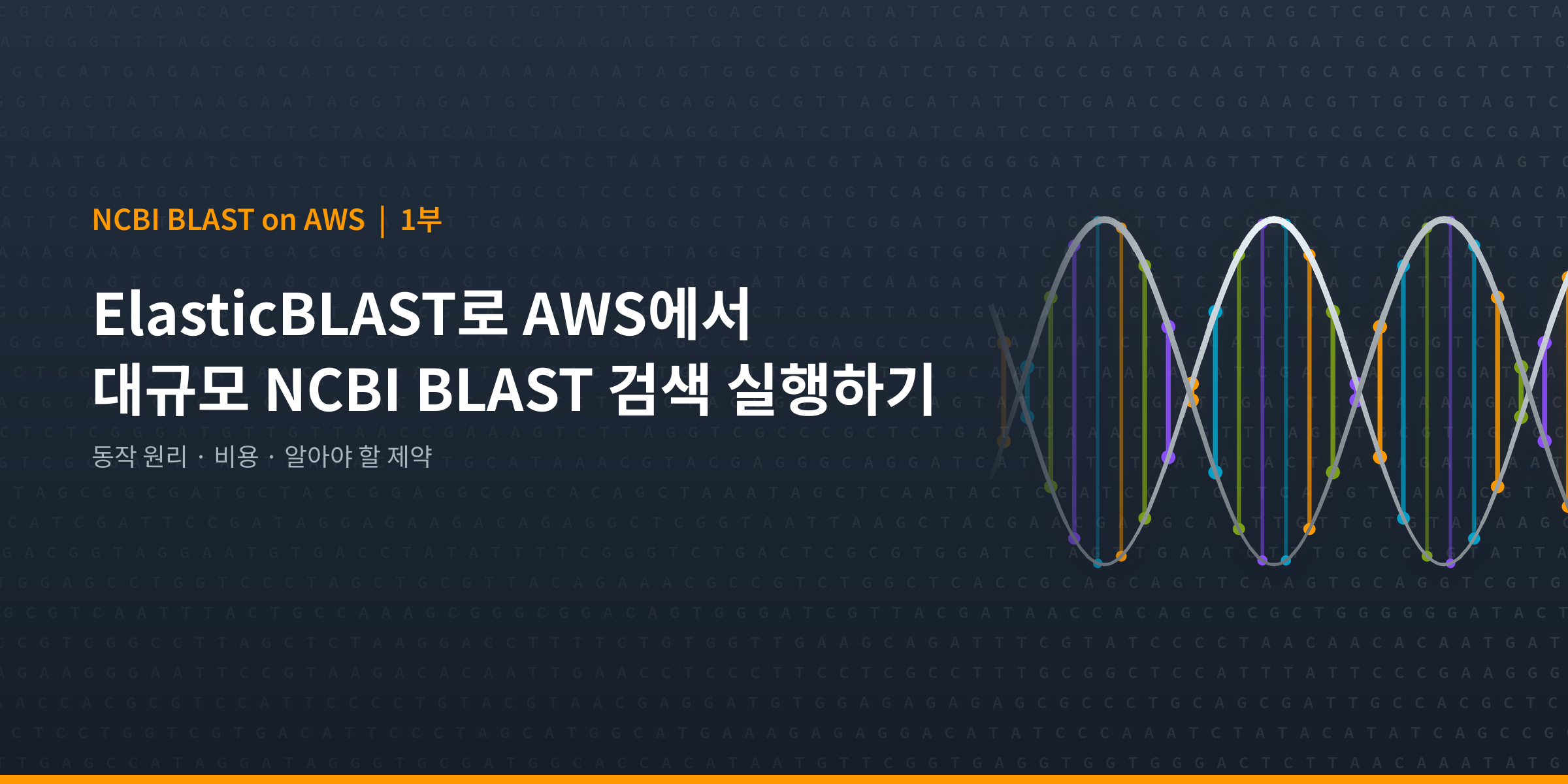 NCBI BLAST on AWS 시리즈 1부 대표 이미지: ElasticBLAST로 AWS에서 대규모 NCBI BLAST 검색 실행하기